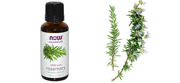 Rosemary Oil for Hair Growth, Benefits